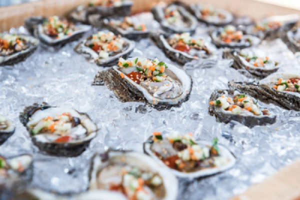 OYSTER COOK OFF AND CRAFT BEER